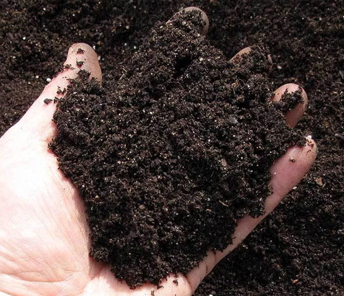 Organic Rich